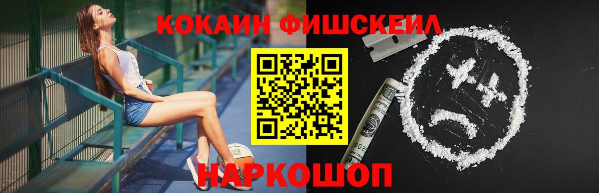 Cocaine FishScale  Вход с VPN  Славгород 