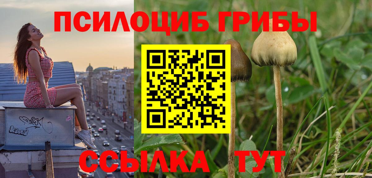 Галлюциногенные грибы ЛСД  Псилоцибиновые грибы прущие грибы  наркошоп  Вход с VPN  Славгород 