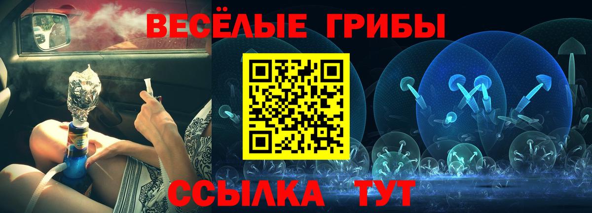 Галлюциногенные грибы GOLDEN TEACHER Славгород